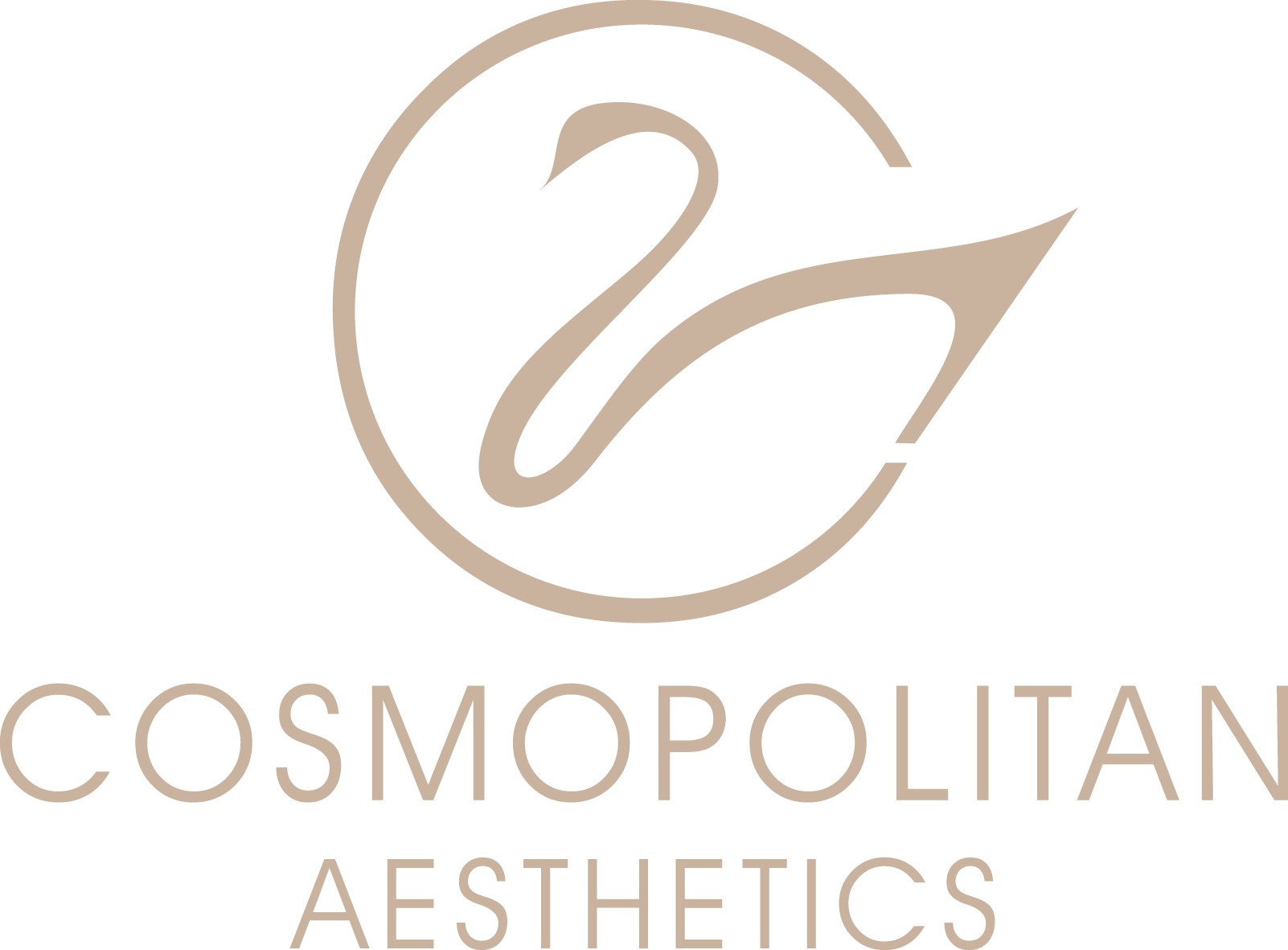 Cosmopolitan Aesthetics Braunschweig